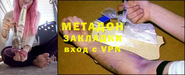гашик Алексин