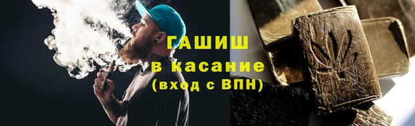 гашик Алексин