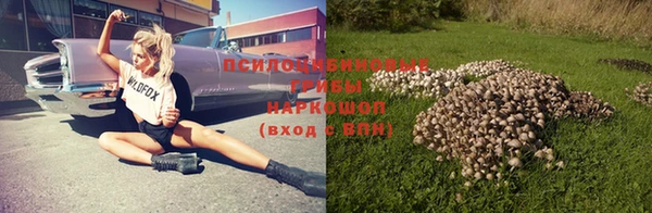 гашик Алексин