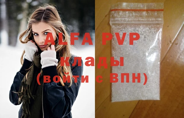 гашик Алексин