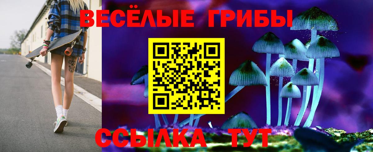 Псилоцибиновые грибы Psilocybine cubensis  Вход с VPN  Домодедово 