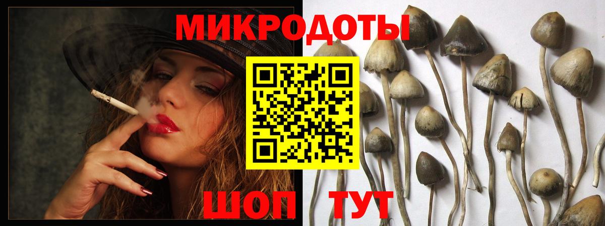 Псилоцибиновые грибы MAGIC MUSHROOMS Домодедово
